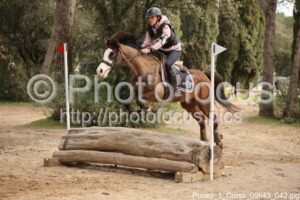 Poney_1_Cross_09h43_042.jpg