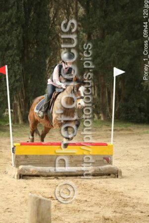 Poney_1_Cross_09h44_120.jpg
