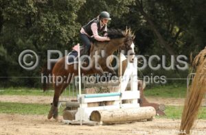 Poney_1_Cross_09h44_121.jpg