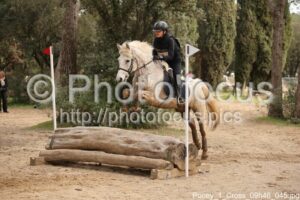 Poney_1_Cross_09h46_045.jpg