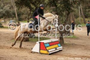 Poney_1_Cross_09h46_047.jpg