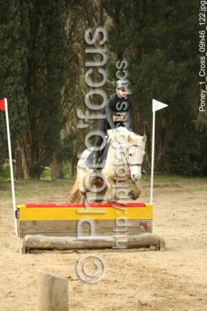 Poney_1_Cross_09h46_122.jpg
