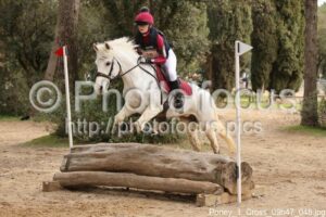 Poney_1_Cross_09h47_048.jpg