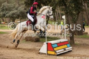 Poney_1_Cross_09h48_050.jpg