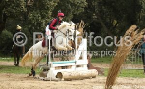 Poney_1_Cross_09h48_124.jpg