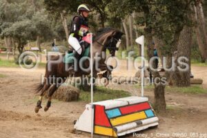 Poney_1_Cross_09h50_053.jpg