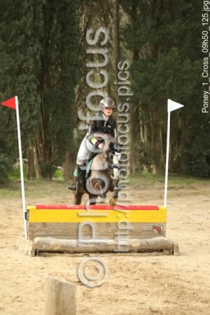 Poney_1_Cross_09h50_125.jpg