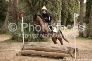 Poney_1_Cross_09h51_054.jpg
