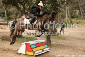 Poney_1_Cross_09h51_056.jpg