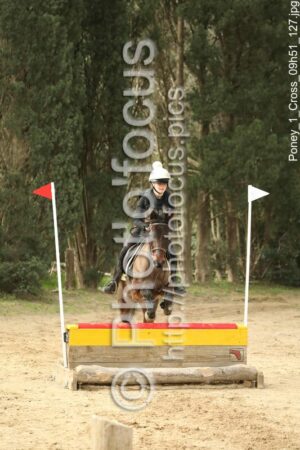 Poney_1_Cross_09h51_127.jpg