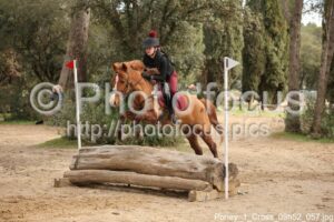 Poney_1_Cross_09h52_057.jpg
