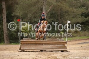 Poney_1_Cross_09h53_058.jpg