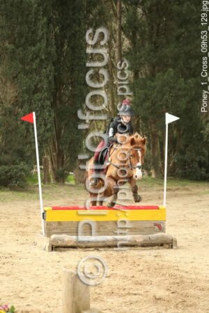 Poney_1_Cross_09h53_129.jpg