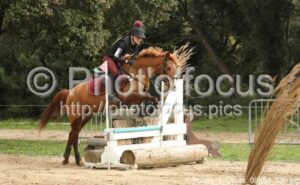 Poney_1_Cross_09h53_130.jpg