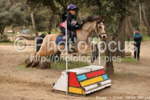 Poney_1_Cross_09h54_062.jpg