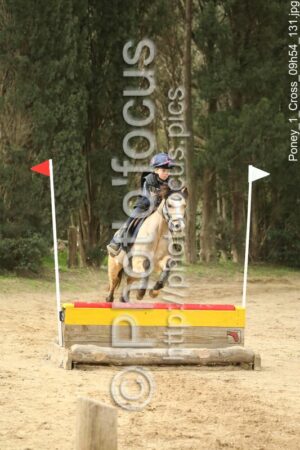 Poney_1_Cross_09h54_131.jpg