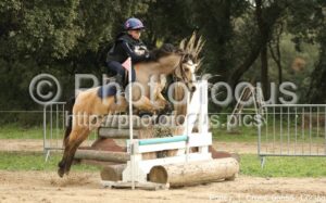 Poney_1_Cross_09h55_132.jpg