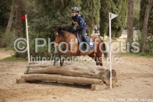 Poney_1_Cross_09h56_063.jpg