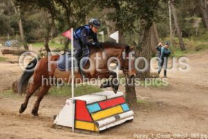 Poney_1_Cross_09h57_065.jpg