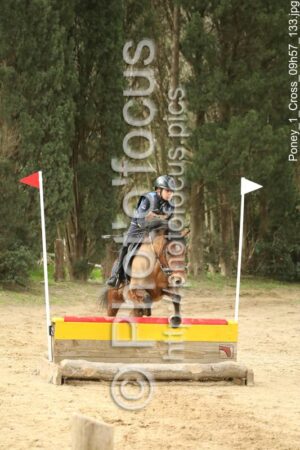 Poney_1_Cross_09h57_133.jpg