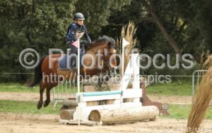 Poney_1_Cross_09h57_134.jpg