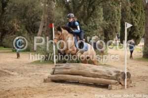 Poney_1_Cross_09h59_066.jpg