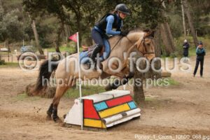 Poney_1_Cross_10h00_068.jpg