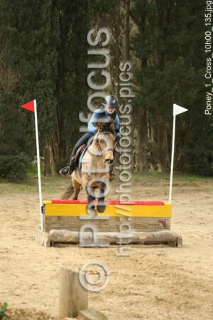 Poney_1_Cross_10h00_135.jpg