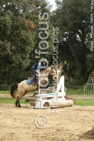 Poney_1_Cross_10h00_136.jpg