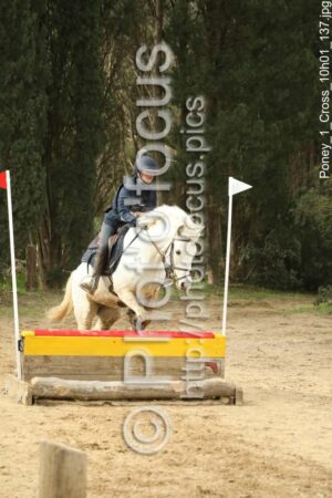 Poney_1_Cross_10h01_137.jpg