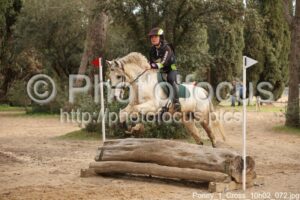 Poney_1_Cross_10h02_072.jpg