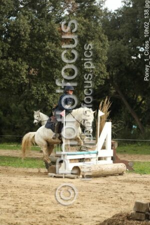 Poney_1_Cross_10h02_138.jpg