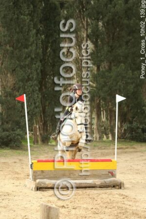 Poney_1_Cross_10h02_139.jpg