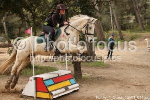 Poney_1_Cross_10h03_074.jpg
