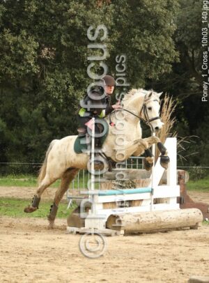 Poney_1_Cross_10h03_140.jpg