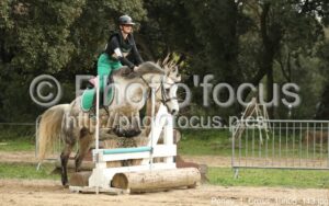Poney_1_Cross_10h05_143.jpg