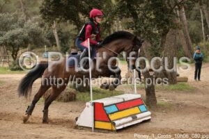 Poney_1_Cross_10h06_080.jpg