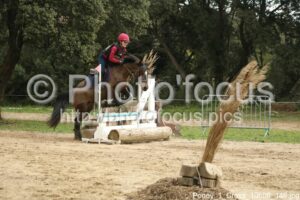 Poney_1_Cross_10h06_146.jpg