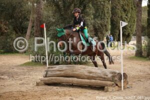 Poney_1_Cross_10h07_081.jpg