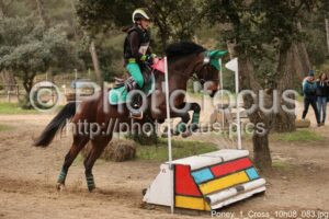 Poney_1_Cross_10h08_083.jpg
