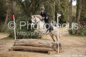 Poney_1_Cross_10h08_084.jpg