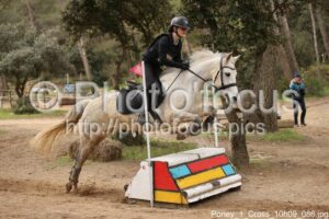 Poney_1_Cross_10h09_086.jpg