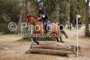 Poney_1_Cross_10h10_087.jpg