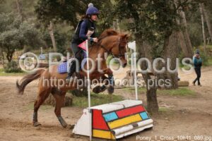 Poney_1_Cross_10h11_089.jpg