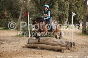 Poney_1_Cross_10h11_090.jpg