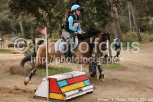 Poney_1_Cross_10h12_092.jpg