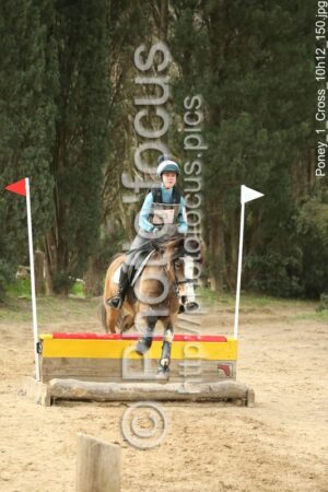 Poney_1_Cross_10h12_150.jpg