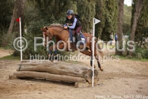Poney_1_Cross_10h13_093.jpg