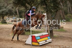Poney_1_Cross_10h13_095.jpg