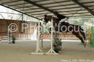 Poney_2_CSO_15h35_005.jpg